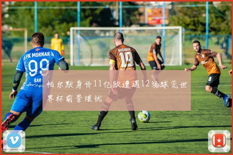 帕尔默身价11亿欧遭遇12场球荒世界杯前景堪忧